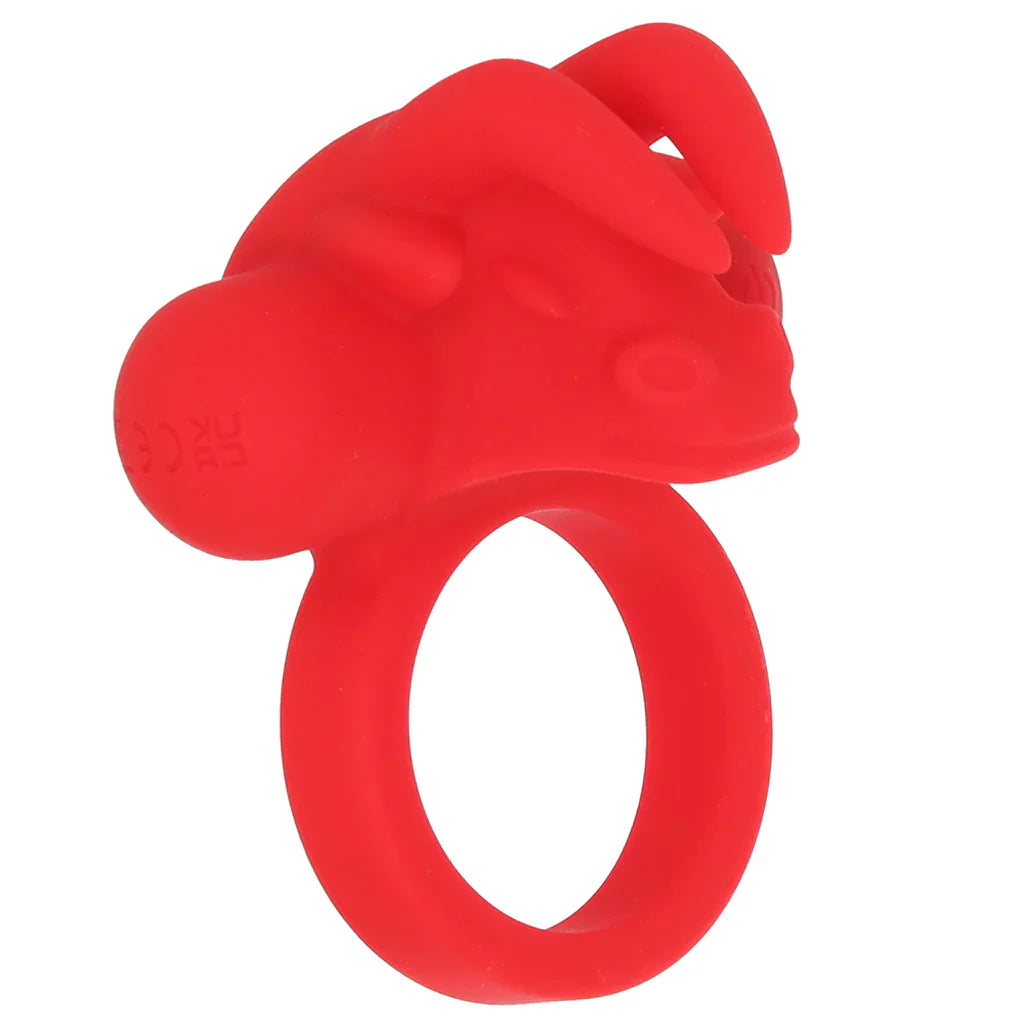 The Matador Vibrating Ring – Toronto – packaging view