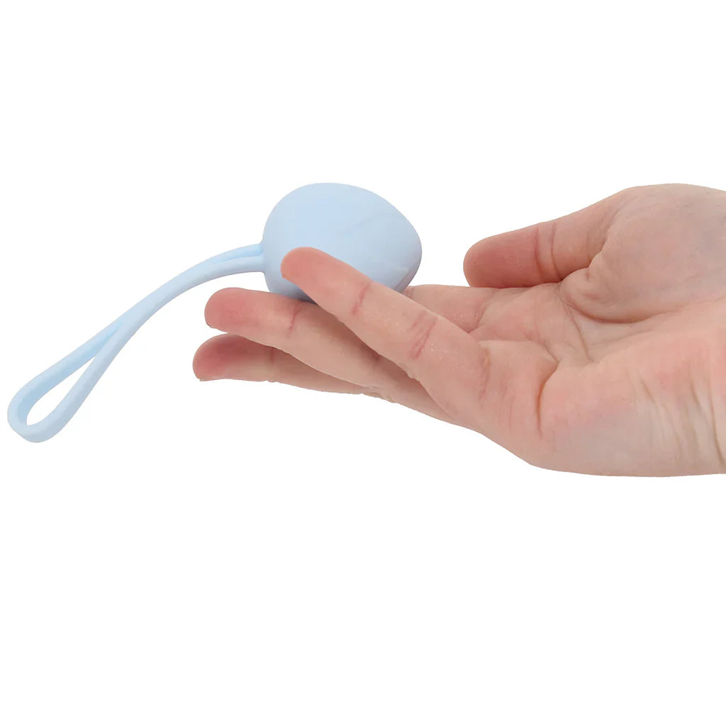 Loveline Pelvifit Berry Kegel Kit
