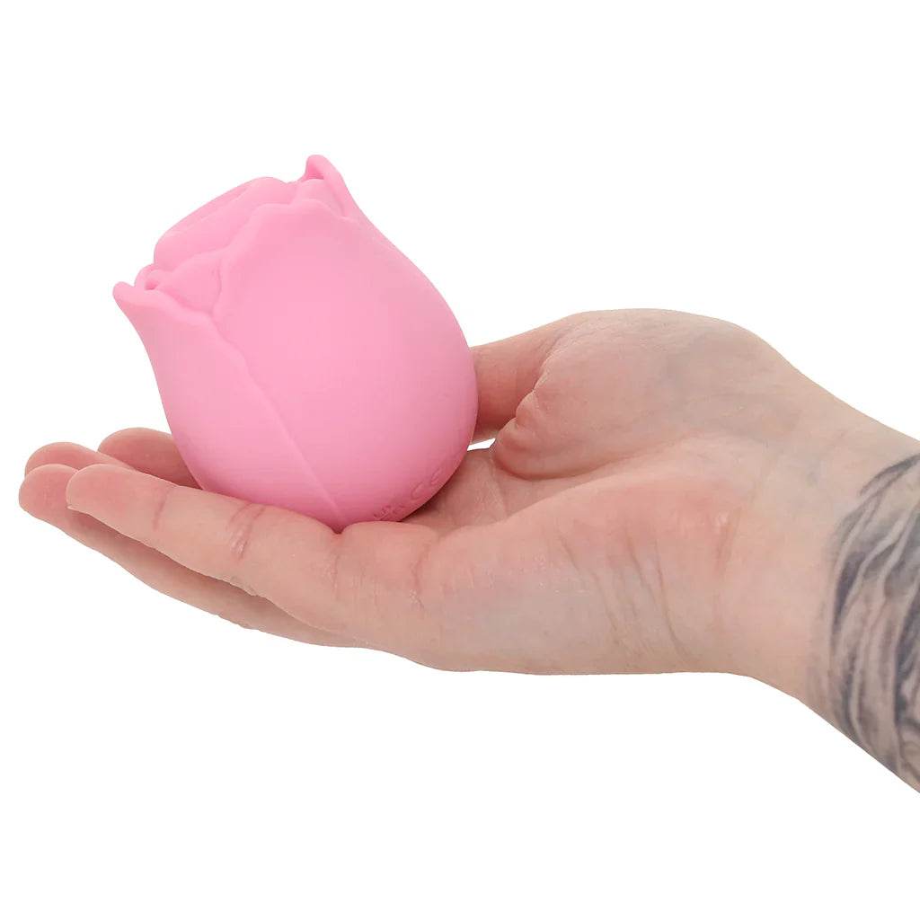 Inya The Vibrating Rose in Pink – Toronto – packaging view