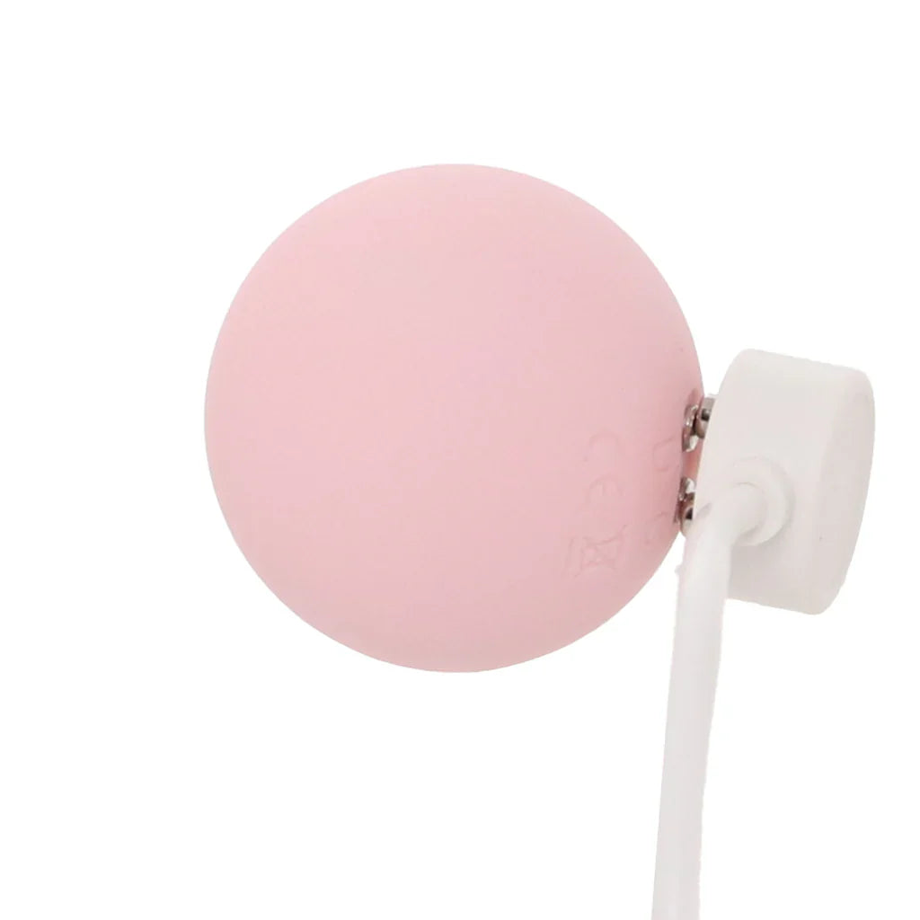 Loveline Pelvifit Strength Kegel Kit Toronto – product detail
