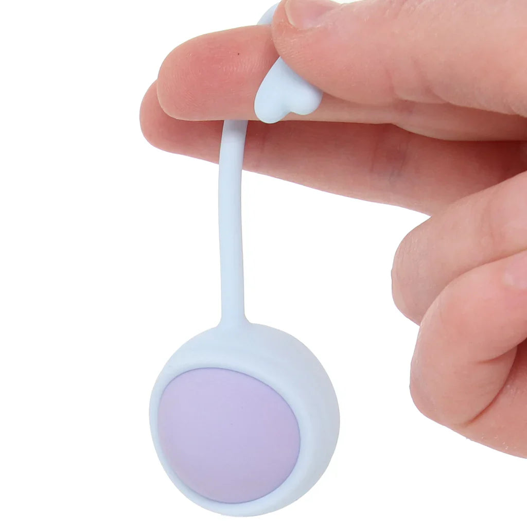 Loveline Pelvifit Strength Kegel Kit – Toronto adult store – close-up view