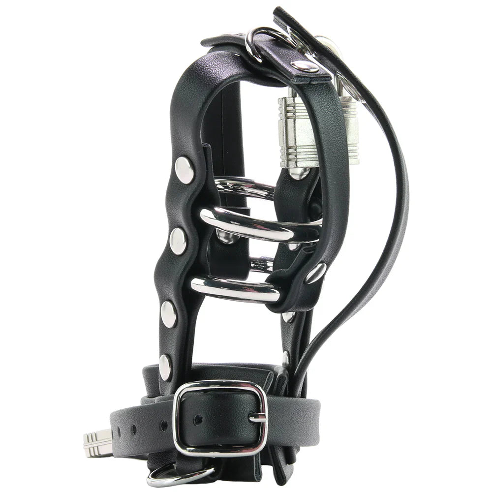 Blue Line Gimp Cock Chastity Sheath with C-Ring – Toronto – packaging view