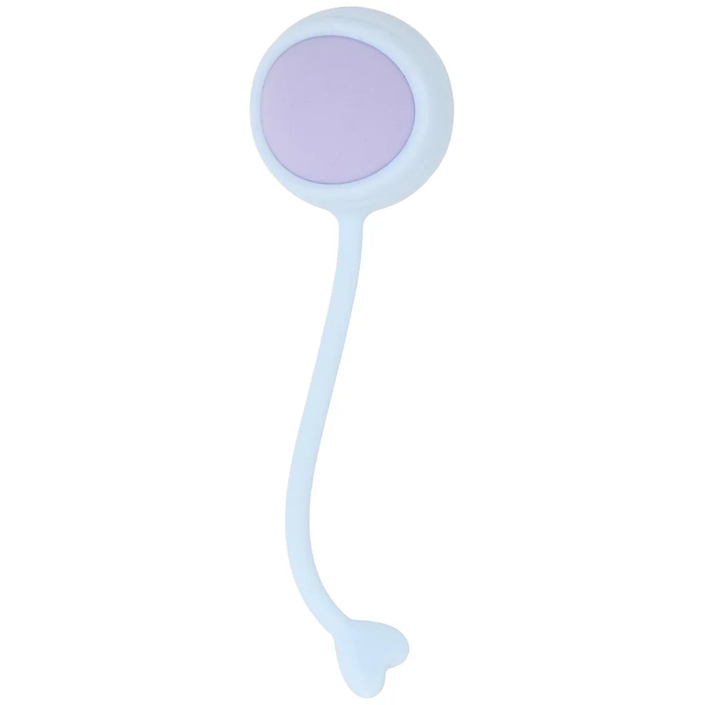 Loveline Pelvifit Strength Kegel Kit – Toronto adult boutique – features