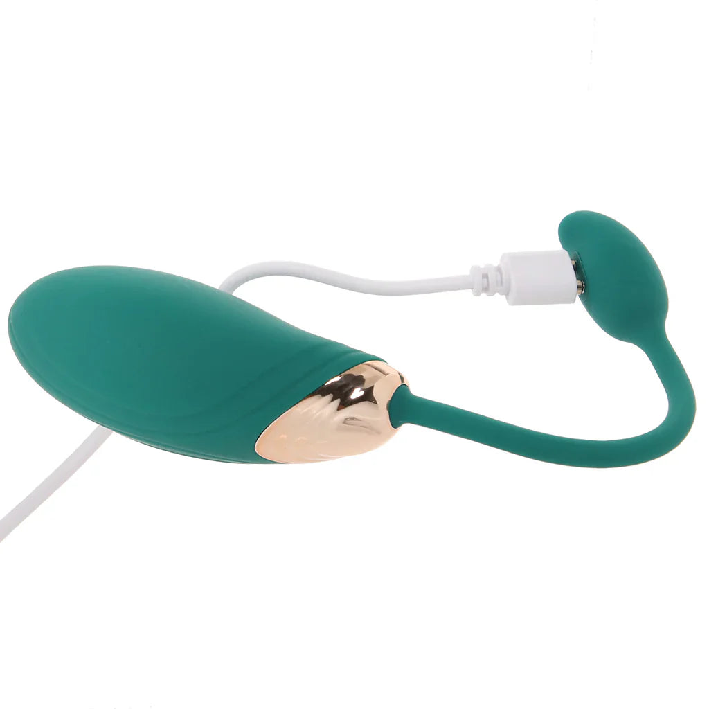 Blaze Dual Massager Kit – Toronto adult store – close-up view