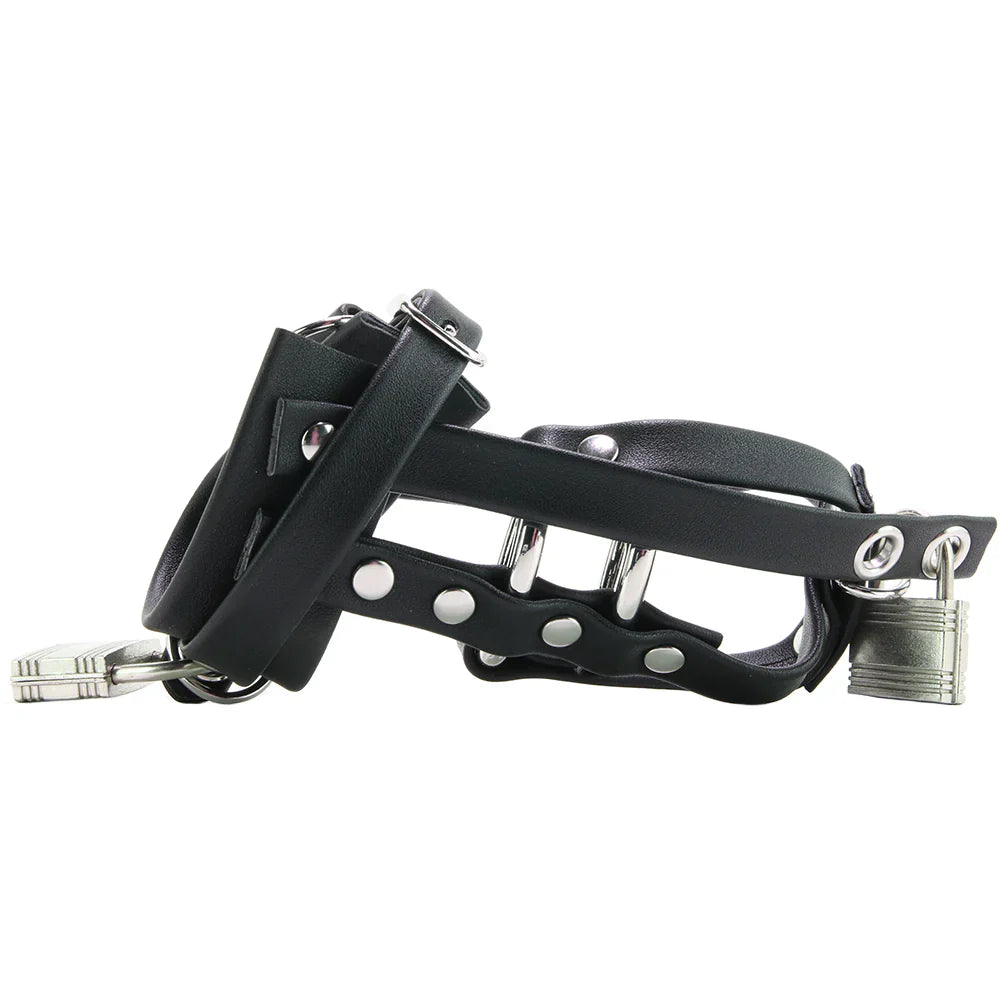 Blue Line Gimp Cock Chastity Sheath with C-Ring – Heaven Boutique Toronto – side view